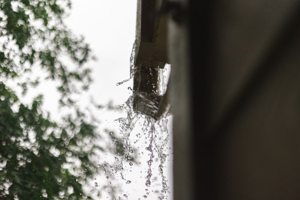 Eau de pluie qui tombe d'une gouttière devant un feuillage flou